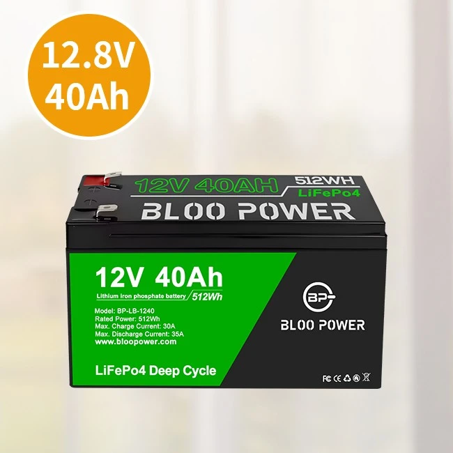 10Ah 20Ah 40Ah Lithium Ion Battery