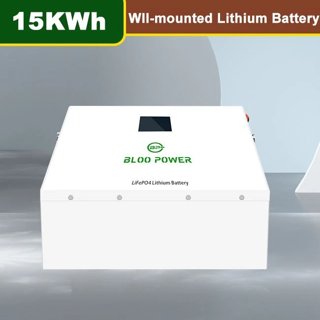 Home Solar Energy Wall Mount Storage Battery