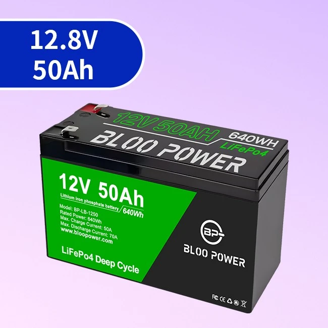 lithium ion batterie 50Ah lifepo4 battery module